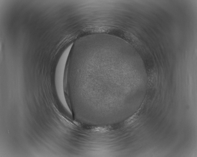 X0000056380166200509091724