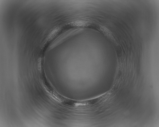 X0000056380167200509091724