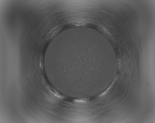 X0000056380170200509091724