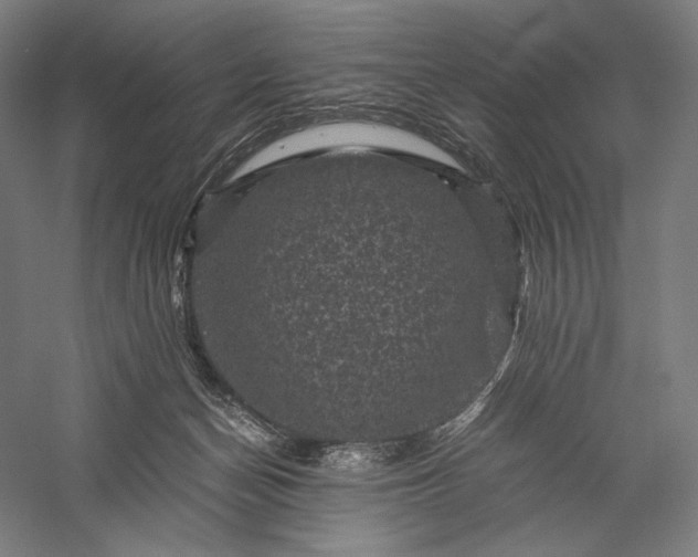 X0000056380174200509091724