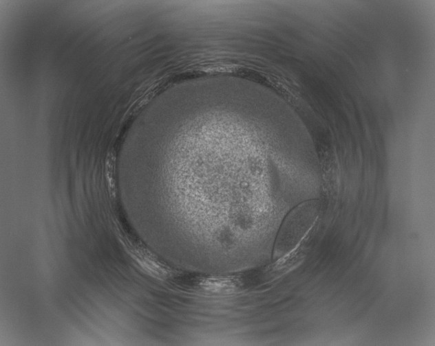 X0000056380175200509091724