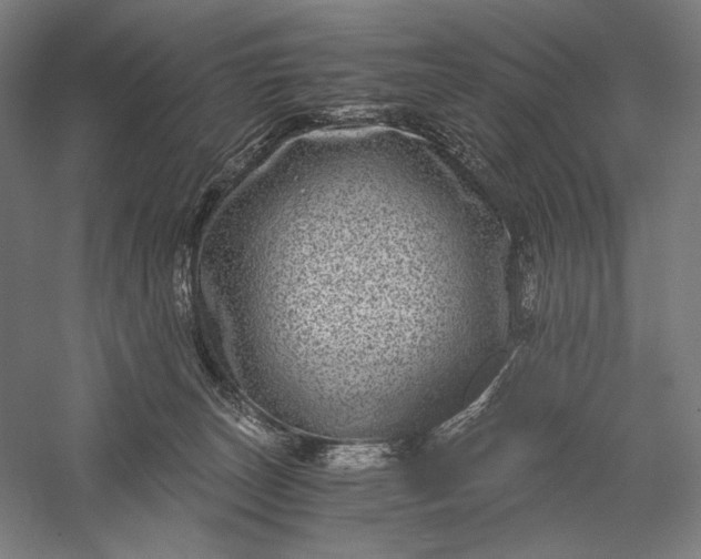 X0000056380179200509091725