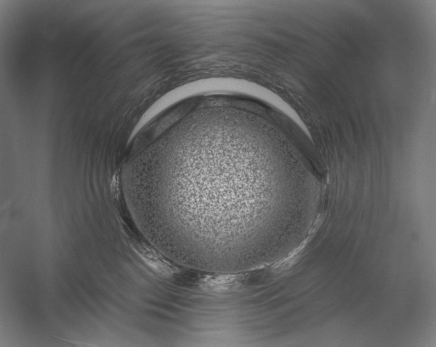 X0000056380186200509091725