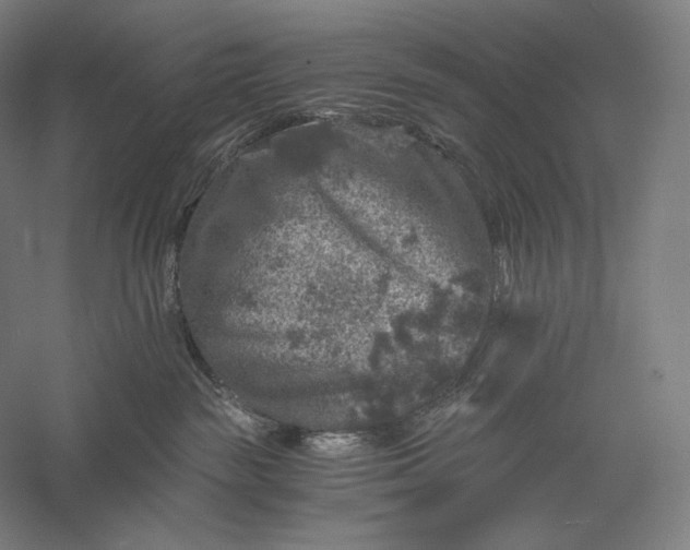 X0000056380189200509091725