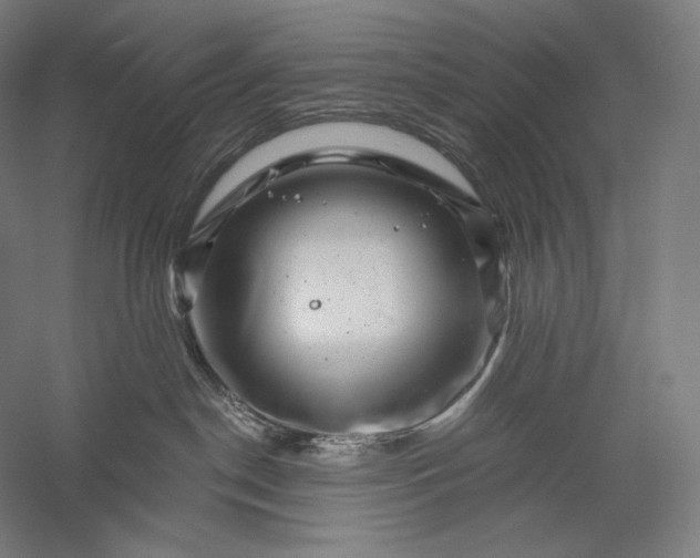 X0000056380190200509091725