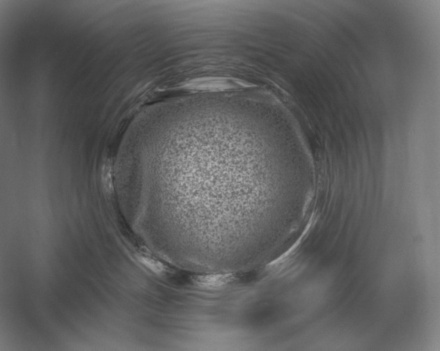 X0000056380191200509091725