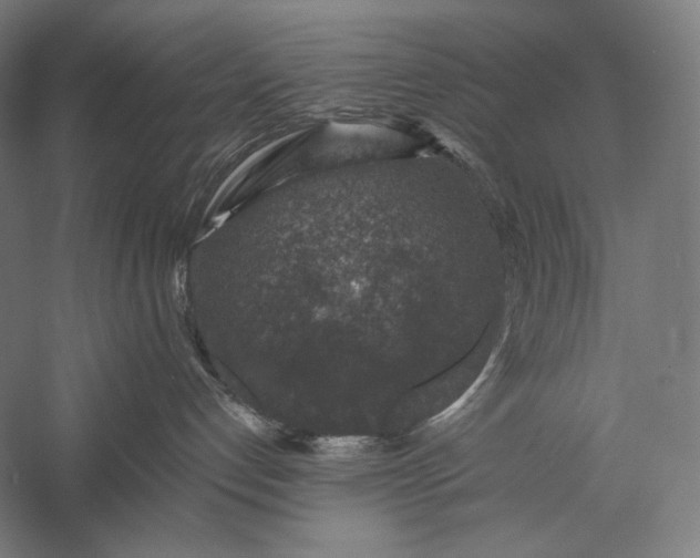 X0000056380192200509091725