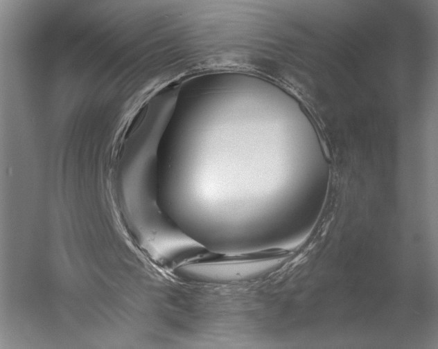 X0000056380193200509091724