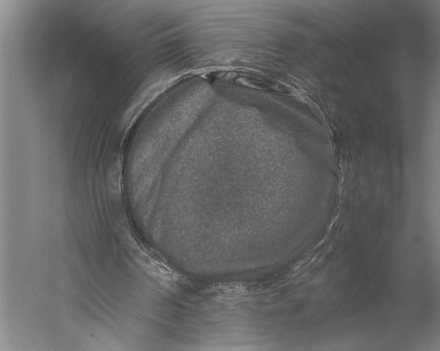 X0000056380194200509091724