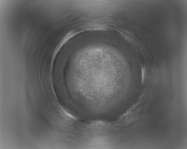 X0000056380195200509091724