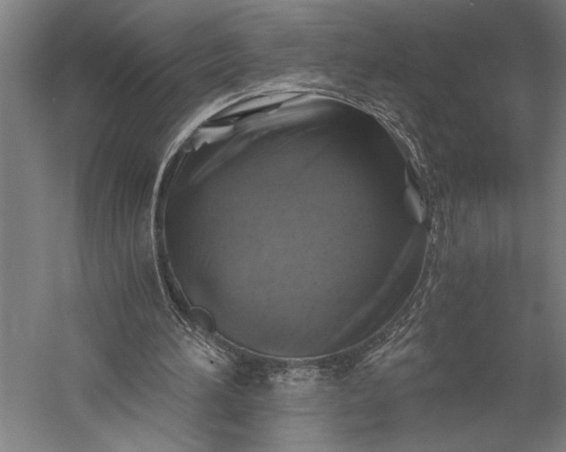 X0000056380196200509091724