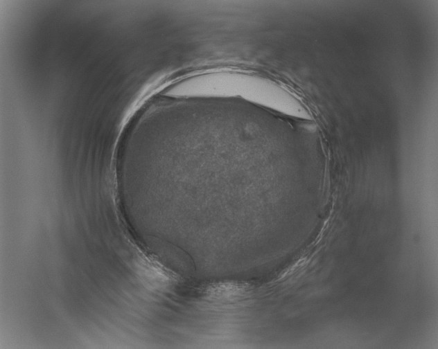 X0000056380198200509091724