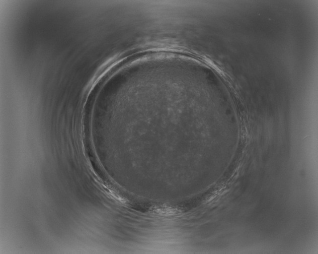 X0000056380199200509091724