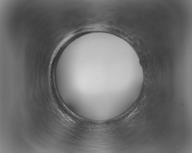 X0000056380200200509091724