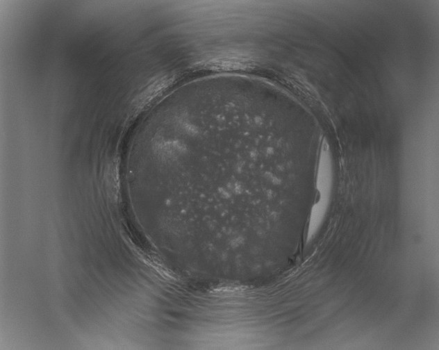 X0000056380202200509091724