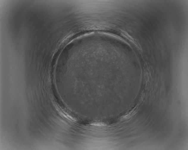 X0000056380203200509091724