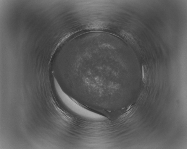 X0000056380204200509091724