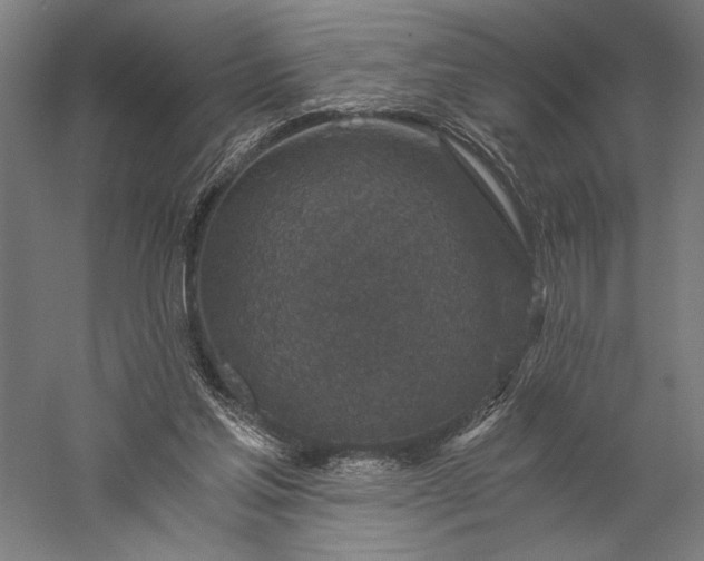 X0000056380205200509091724