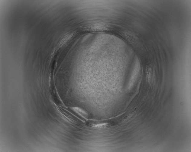 X0000056380206200509091724