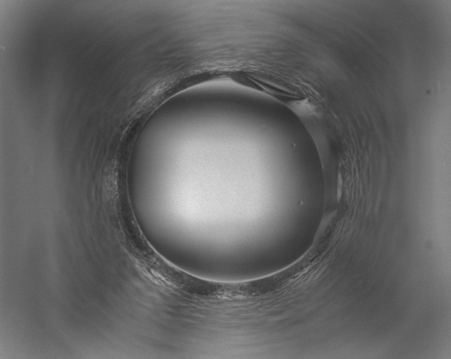 X0000056380207200509091724