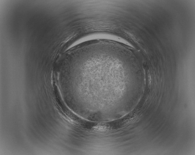 X0000056380211200509091724