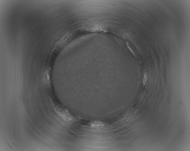 X0000056380214200509091724