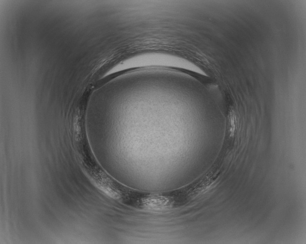 X0000056380215200509091724