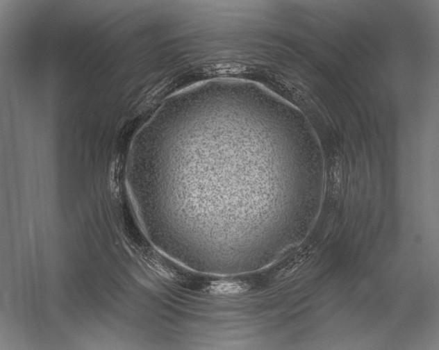 X0000056380218200509091724