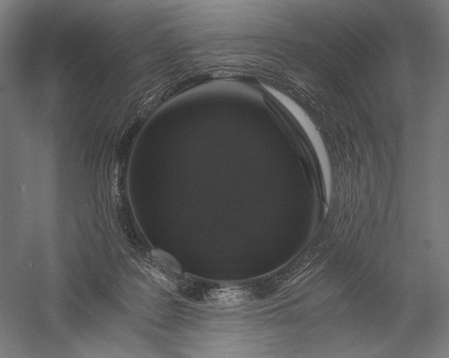 X0000056380219200509091723