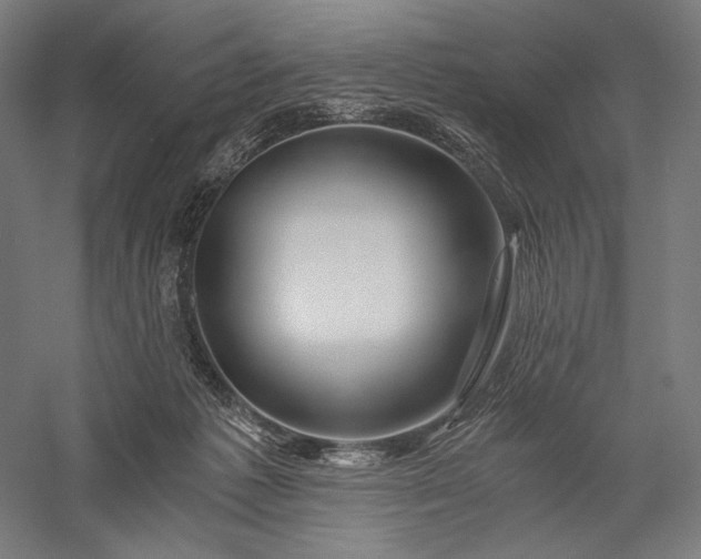 X0000056380221200509091723