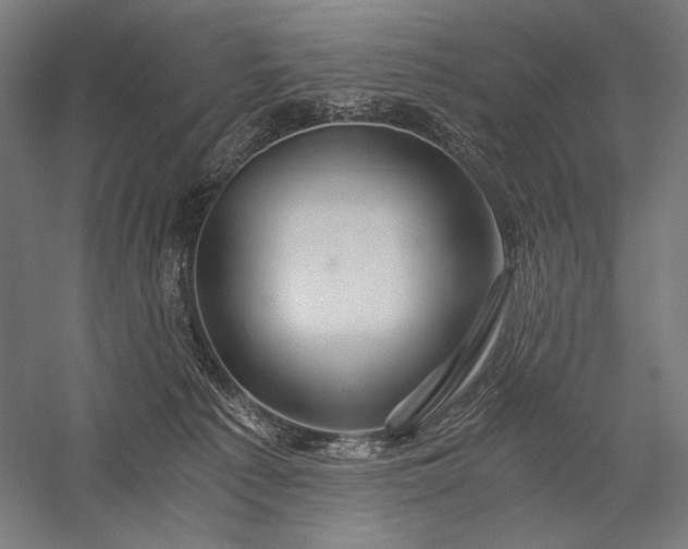 X0000056380225200509091723