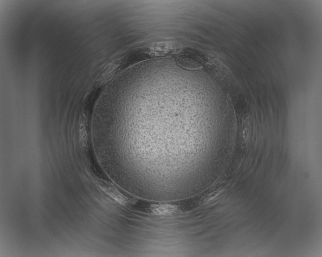 X0000056380226200509091723