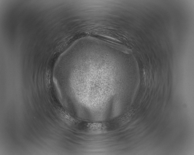 X0000056380230200509091723