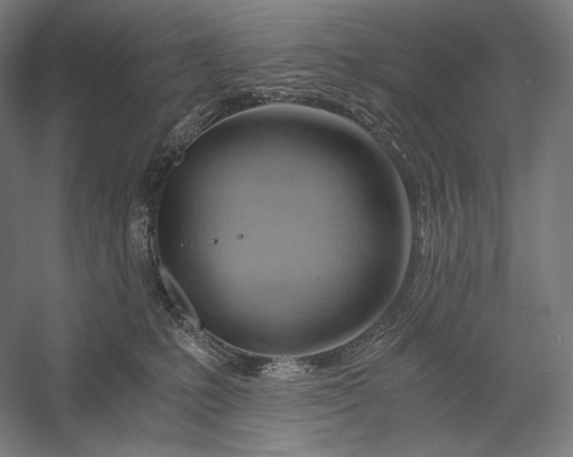 X0000056380231200509091723