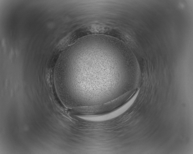 X0000056380233200509091723