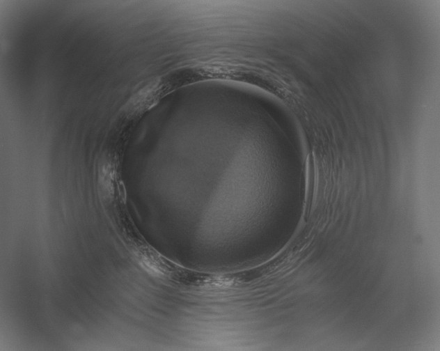 X0000056380235200509091723