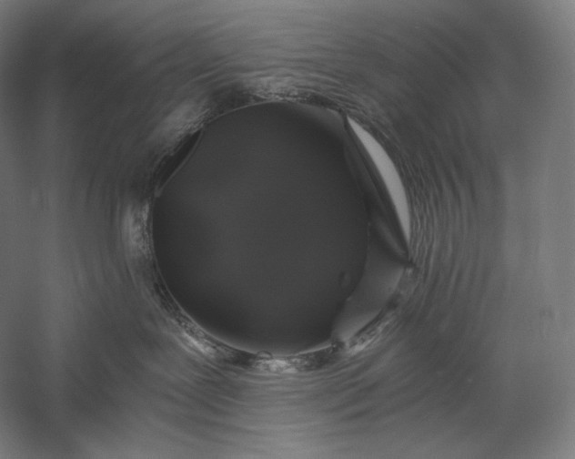 X0000056380239200509091723