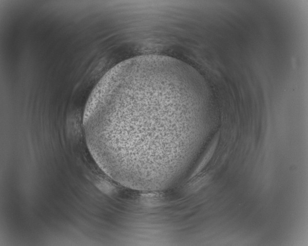 X0000056380240200509091723