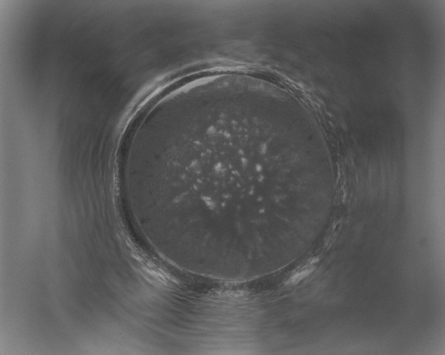 X0000056380247200509091722