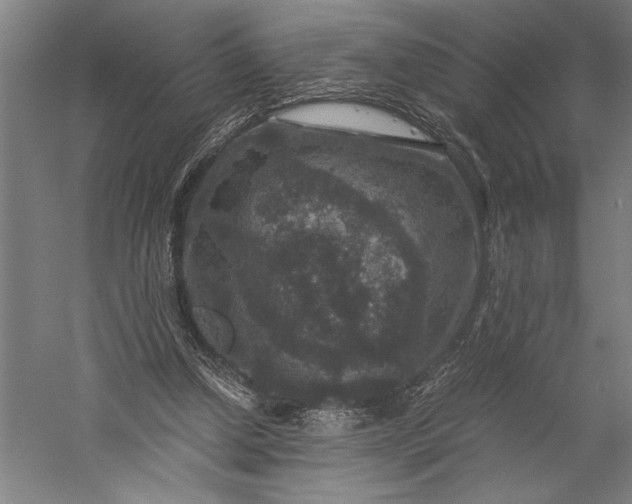 X0000056380250200509091722