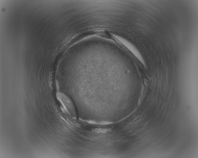 X0000056380255200509091723