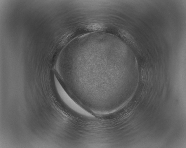 X0000056380259200509091723