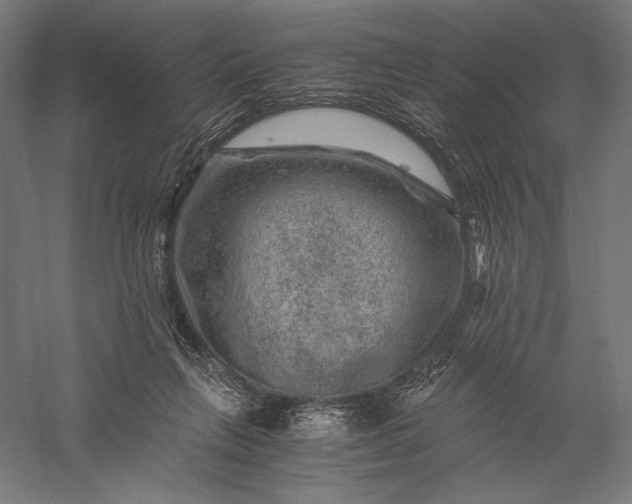 X0000056380263200509091723