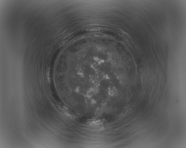 X0000056380267200509091723