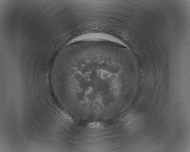 X0000056380269200509091723