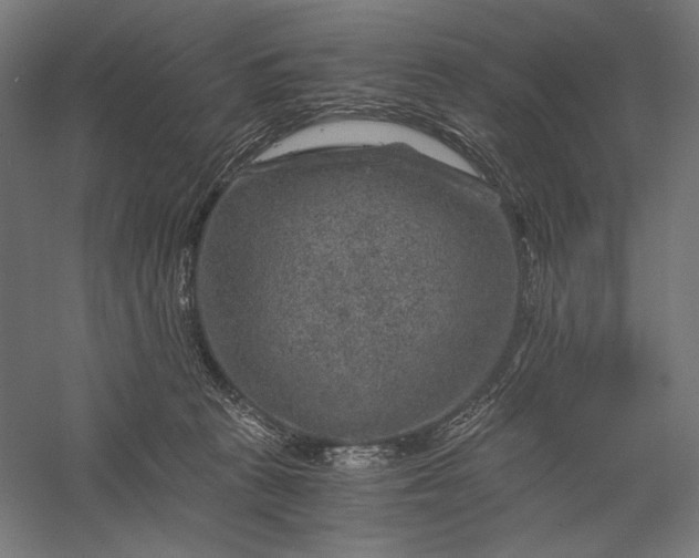 X0000056380273200509091723