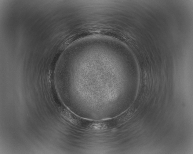 X0000056380275200509091723