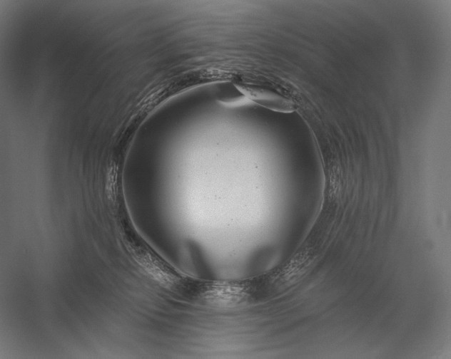 X0000056380278200509091723