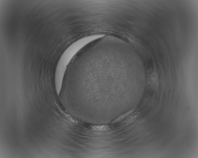 X0000056380281200509091723