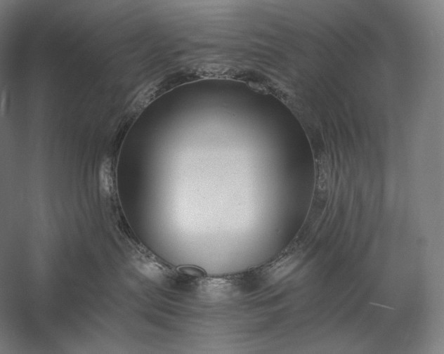 X0000056380287200509091723